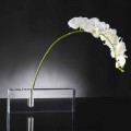 Vaso de flores moderno transparente de acrílico feito na Itália - exclusivo