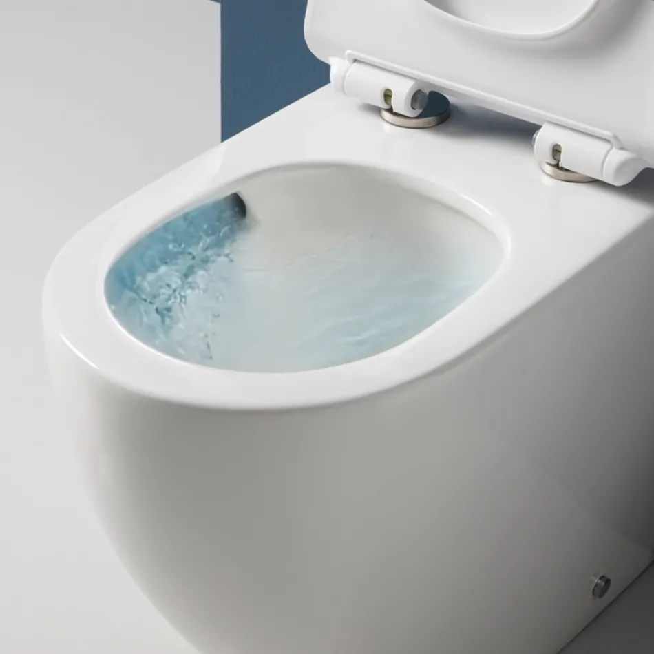 Vaso sanitário Aralia de cerâmica branca, montado no chão, com sistema ciclônico e assento de fechamento suave. Viadurini