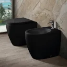 Vaso sanitário Aster bicolor em cerâmica fosca, sem aro, com assento de fechamento suave.   Viadurini