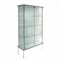 Vitrine de Parede em Vidro Transparente e Metal com 2 Portas Design - Lorella